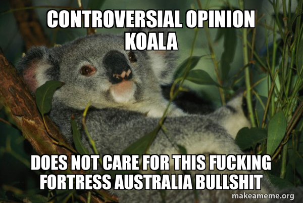 Laid Back Koala meme