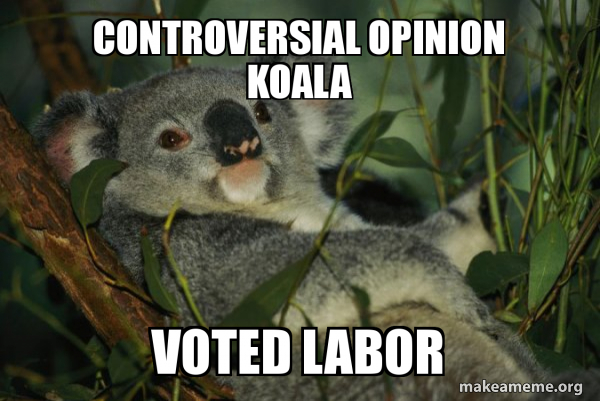 Laid Back Koala meme