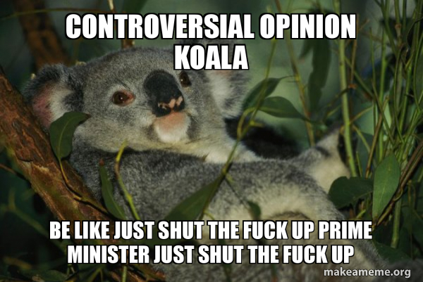 Laid Back Koala meme