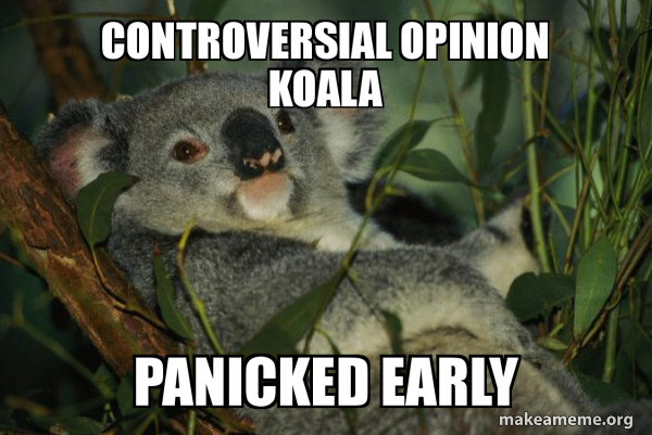 Laid Back Koala meme