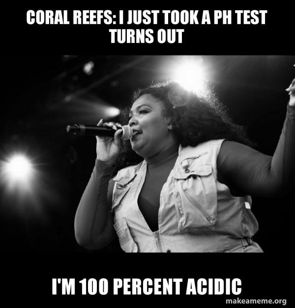 Lizzo meme