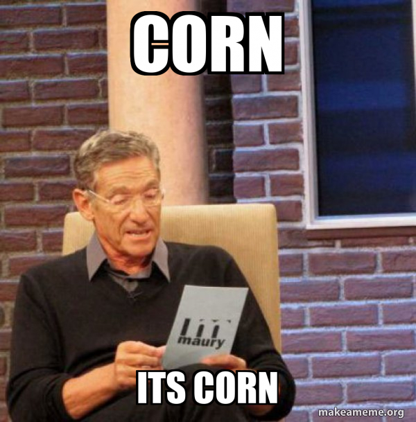 Maury Povich Lie Detector Test meme