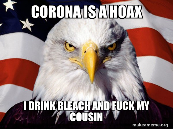 American Pride Eagle meme