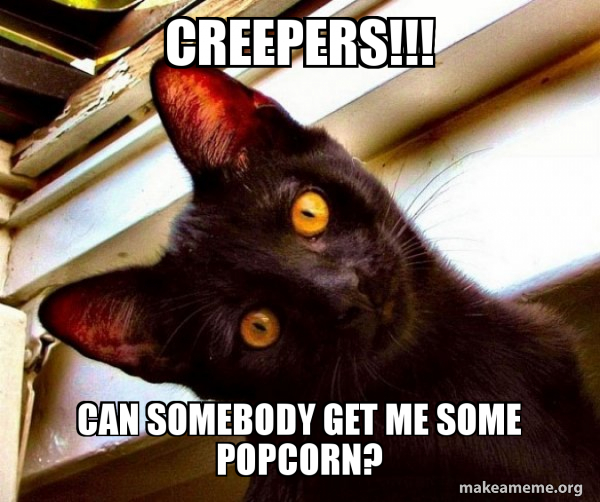 CREEPERS!!! Can Somebody Get me some popcorn? Overly Attached Cat