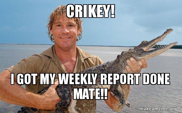 Weekly Update Meme Text Weekly Report Memes What The Best Meme/GIF To Describe Your Reaction
