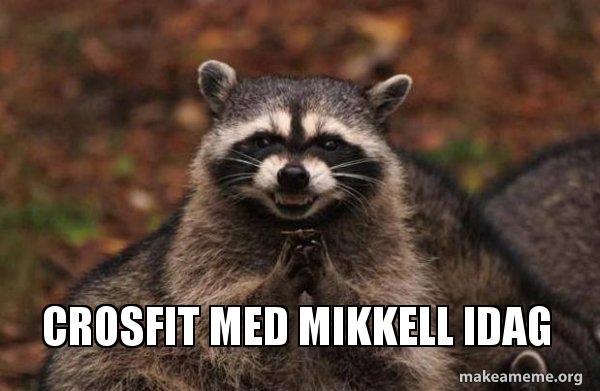 crosfit-med-mikkell.jpg