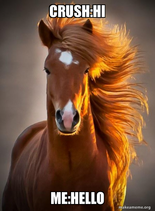 Ridiculously photogenic horse meme