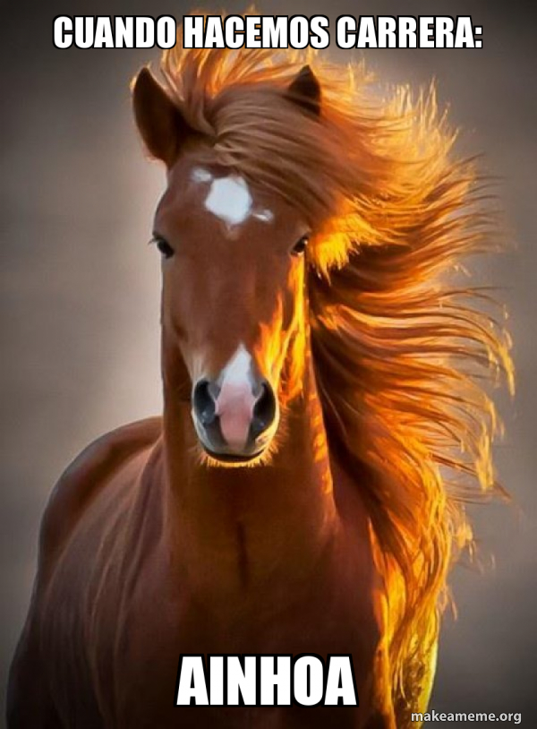 Ridiculously photogenic horse meme