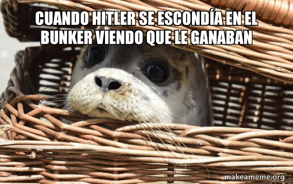 Impending Doom Seal meme