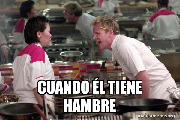 Gordon Ramsay meme