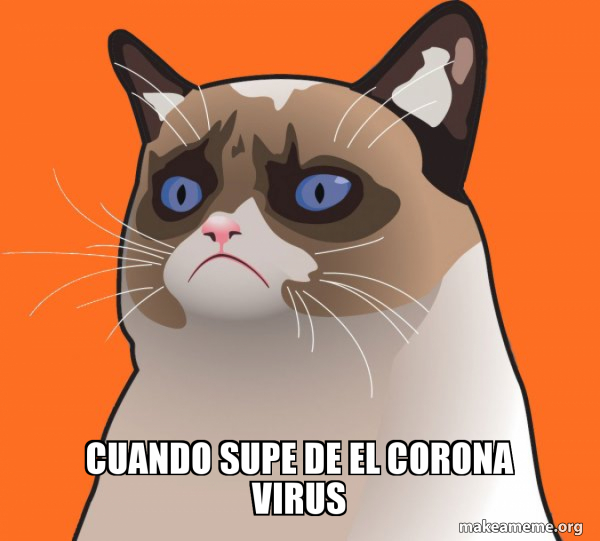 Cartoon Grumpy Cat meme