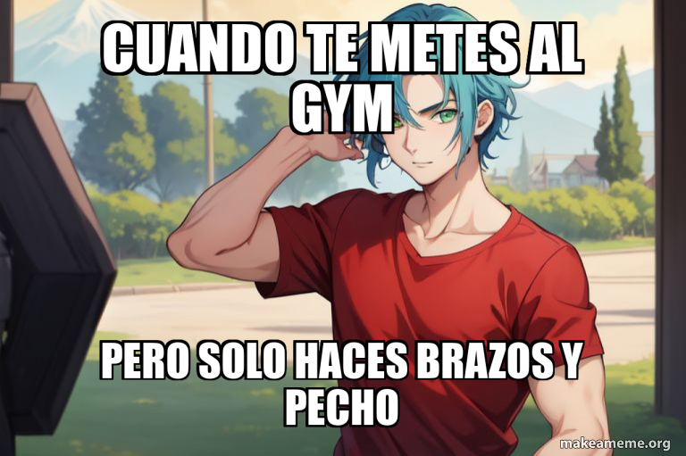 Cuando te metes al gym Pero solo haces brazos y pecho Meme Generator