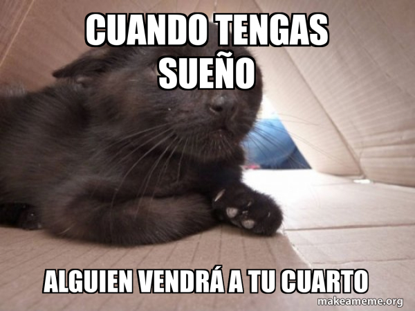Schitzo Cat meme