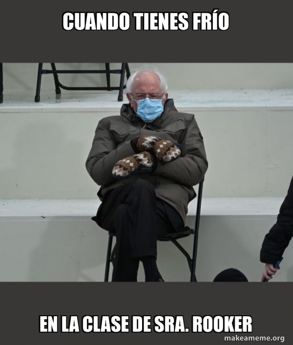 Bernie Sanders at the Inauguration meme