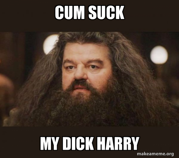 Hagrid - I should not have said that meme