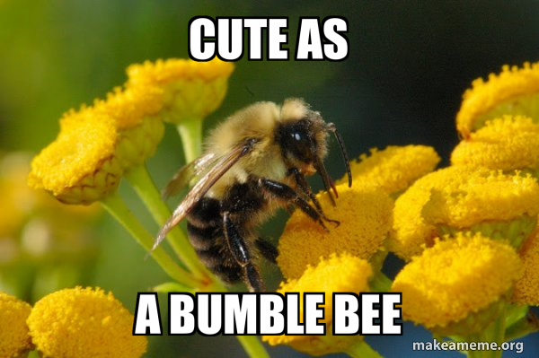 Good Guy Bee meme