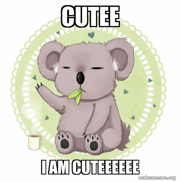 Aussie Koala doing the night shift meme
