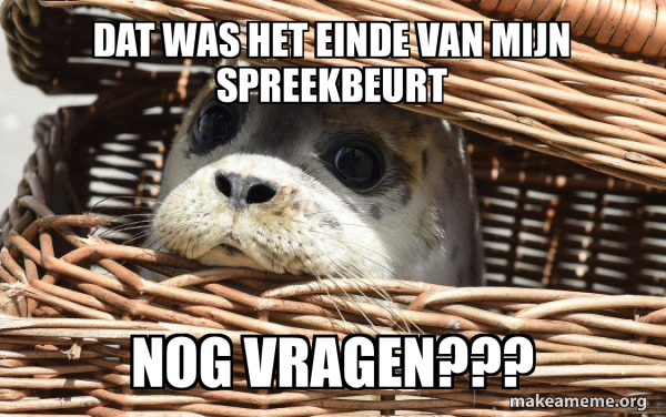 Impending Doom Seal meme