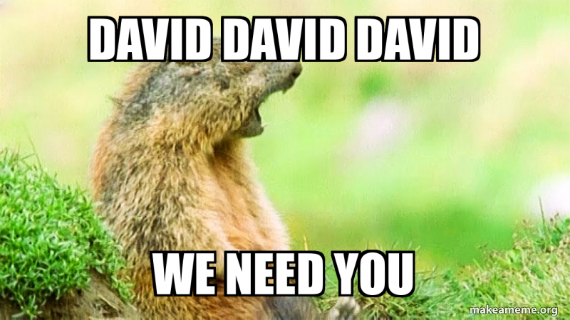 david-david-david-we-need-you-meme-generator