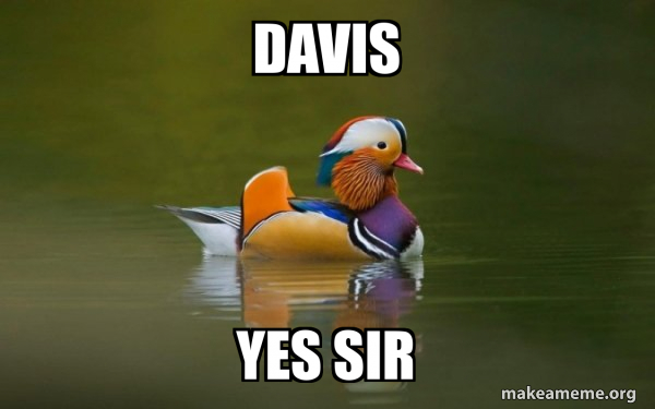 Fashionable Advice Mallard meme