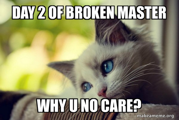 First World Cat Problems meme