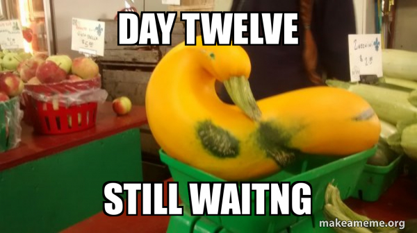 Gourd Advice Mallard meme