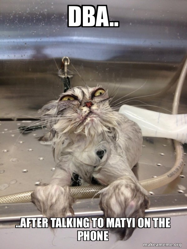 Cat Bath Returns meme