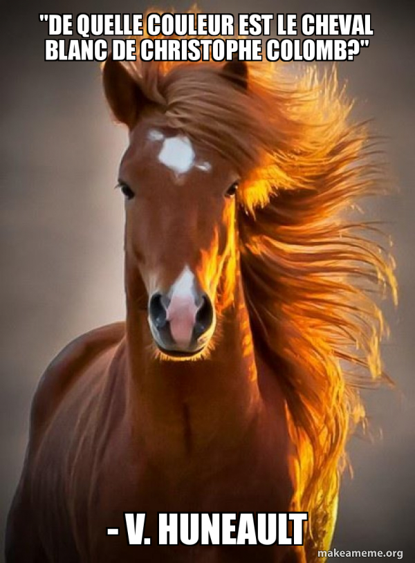 Ridiculously photogenic horse meme