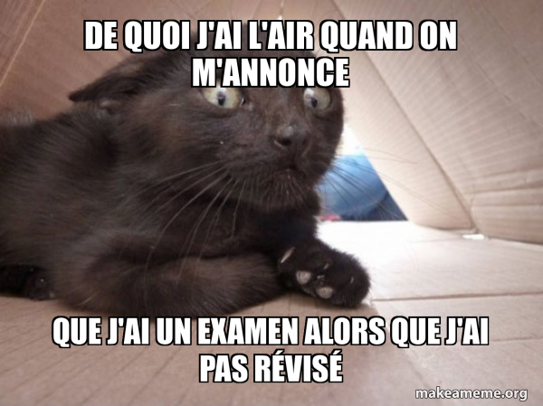 De quoi j'ai l'air quand on m'annonce que j'ai un examen alors que j'ai