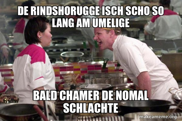 Gordon Ramsay meme