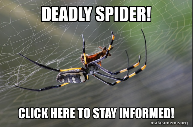 Spider Meme Computer Kill deadly spider! click here to stay informed! Meme Generator