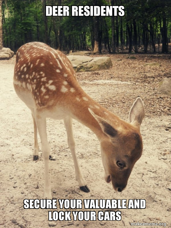 DEER RESIDENTS Secure your valuable and lock your cars O M G Deer Make a Meme