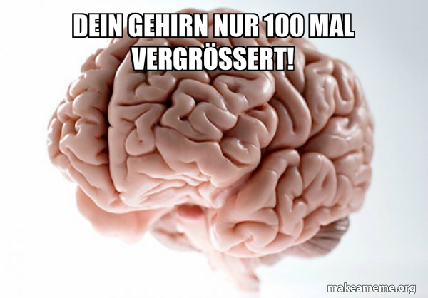 Dein Gehirn nur 100 mal vergrössert! Scumbag Brain Meme Generator
