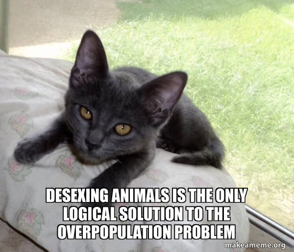 Desexing animals is the only logical solution to the overpopulation ...