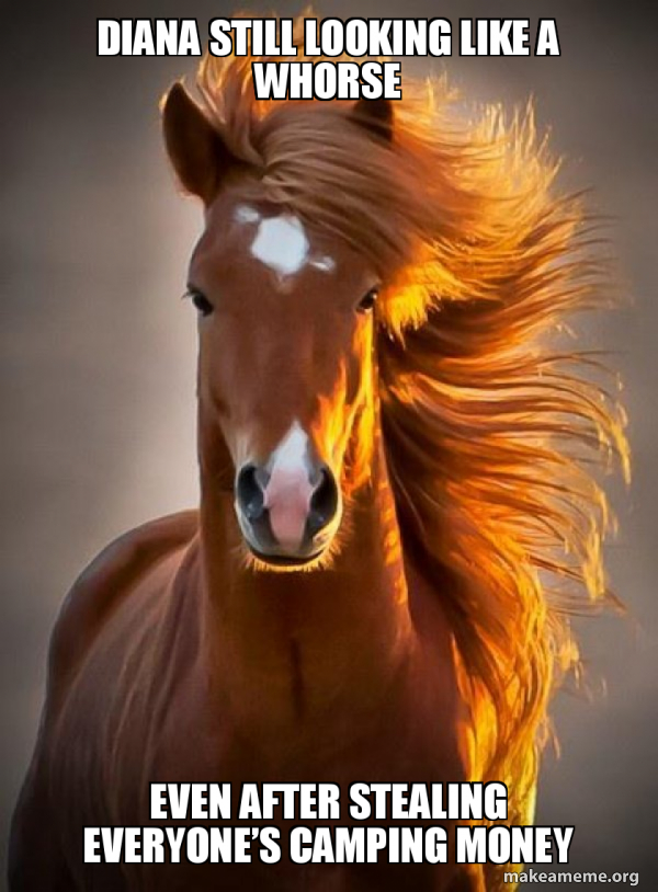 Ridiculously photogenic horse meme