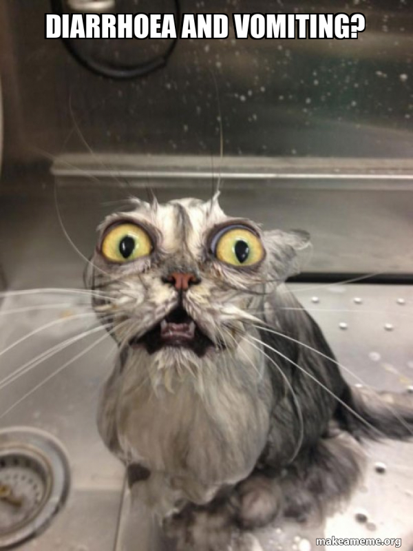 Diarrhoea and vomiting? Cat bath Make a Meme