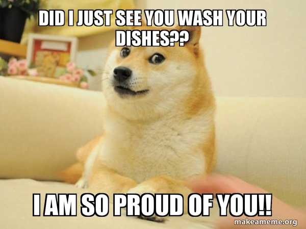 Did I Just See You Wash Your Dishes I Am So Proud Of You Doge Make A Meme