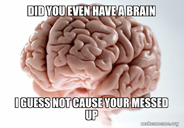 Scumbag Brain meme