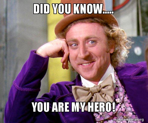 Did you know..... You are my hero! - Willy Wonka Sarcasm Meme Meme