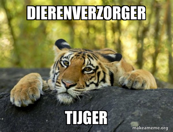 Confession Tiger meme