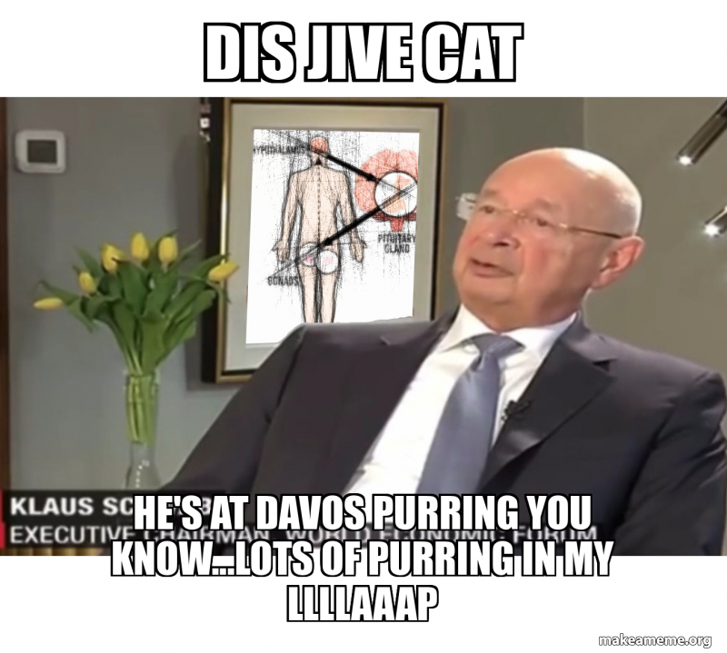 Jive Cat DIS JIVE CAT HE'S AT DAVOS PURRING YOU KNOW...LOTS OF PURRING IN MY ...