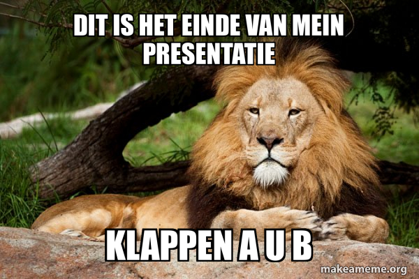Grappige Leeuw Meme Grappige Leeuw Meme