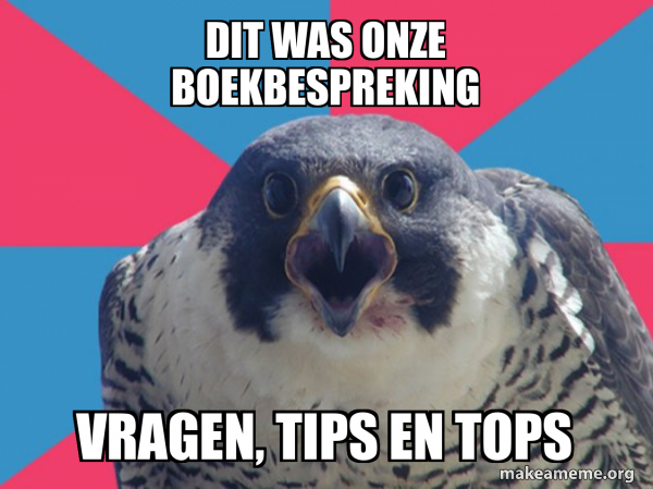 dit was onze boekbespreking vragen, tips en tops - Millennial Falcon