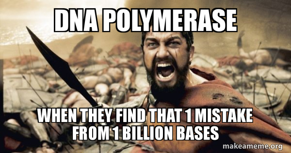 The 300 meme