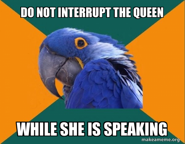 Paranoid Parrot meme