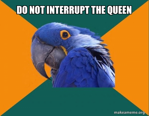 Paranoid Parrot meme