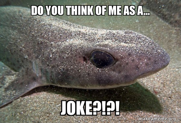 Dirty Joke Dogfish meme