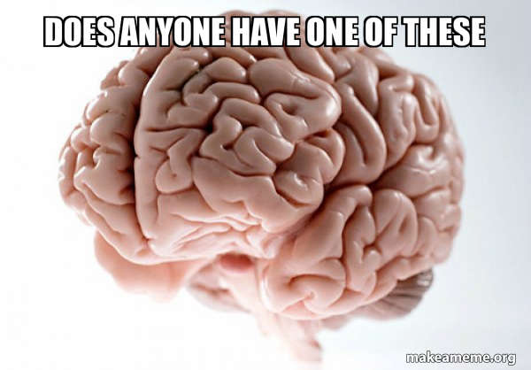 Scumbag Brain meme