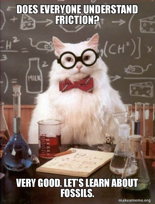 Chemistry Cat meme