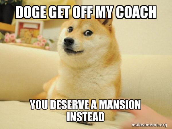 Doge meme